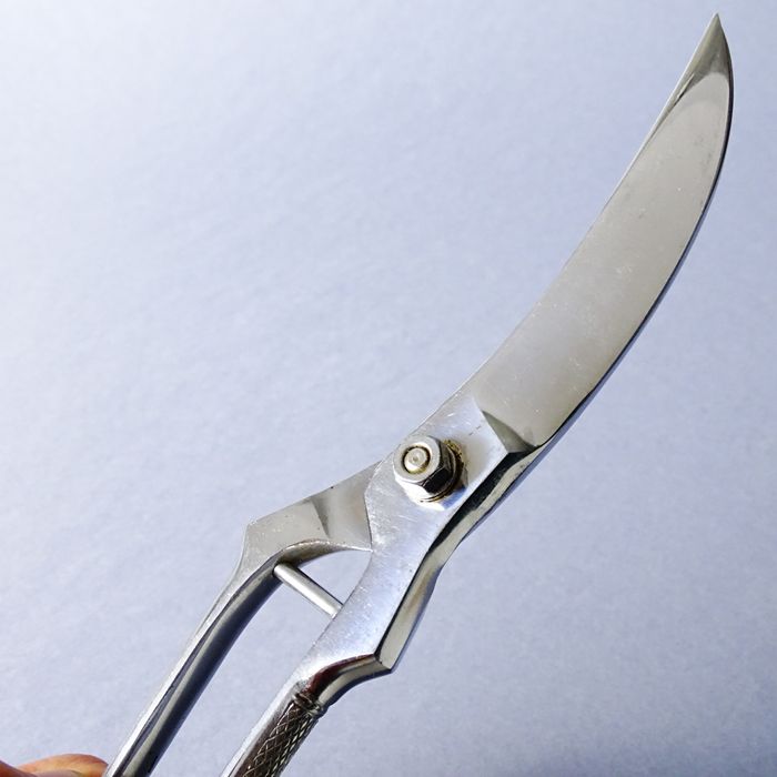 nrd stare ostre nożyce do mięs