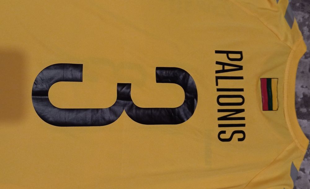 Koszulka piłkarska Litwa match issue