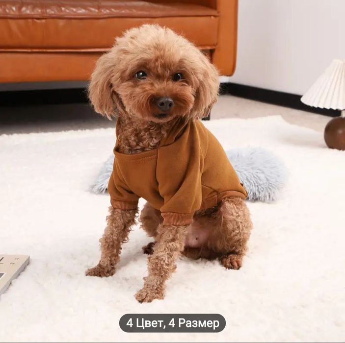 Кофтинка для собачки