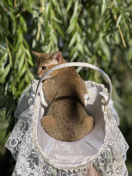 Малюк чекає на люблячу матусю