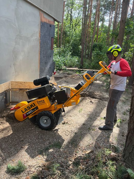 WYCINKA i pielęgnacja drzew | Mielenie gałęzi | RĘBAK Frezowanie pni