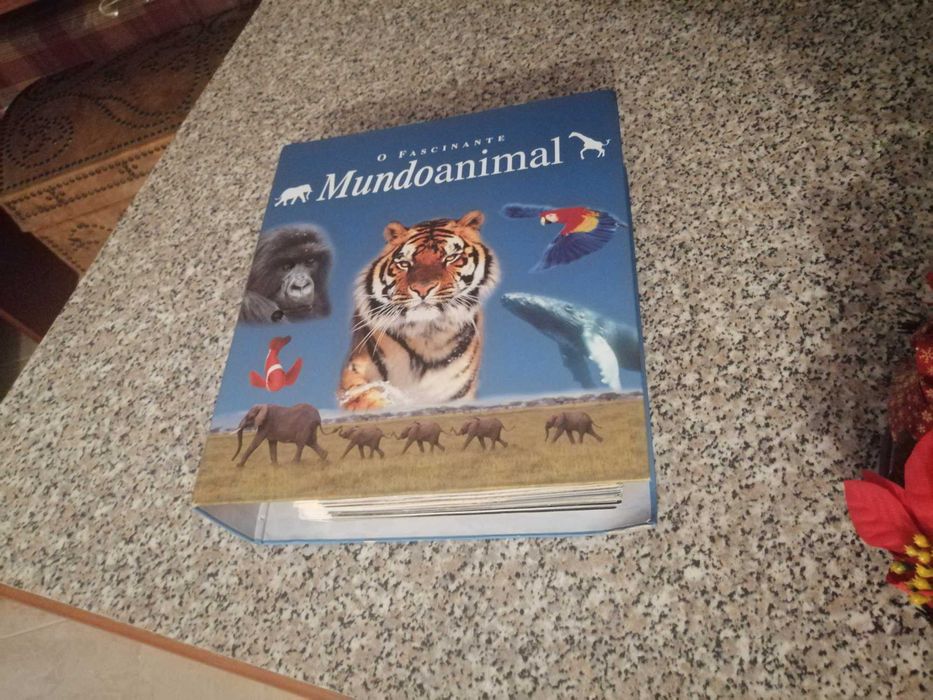 livros revistas dossiers