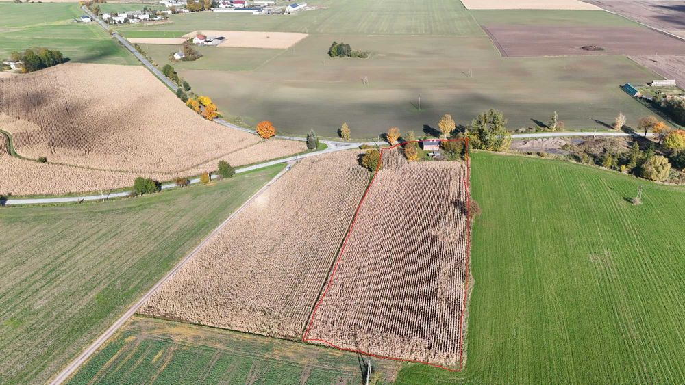 Siedlisko wraz z działką