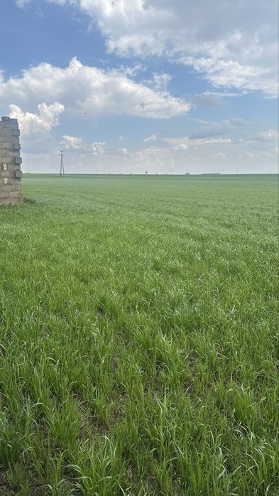 Sprzedaz budynkow gispodarczych i ziemi Karniszewo