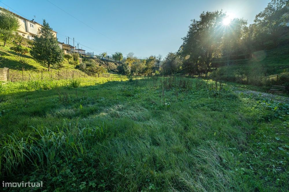 Terreno em Macinhata do Vouga