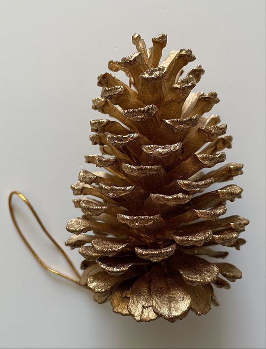 Duże naturalne szyszki dekoracyjne 9 sztuk