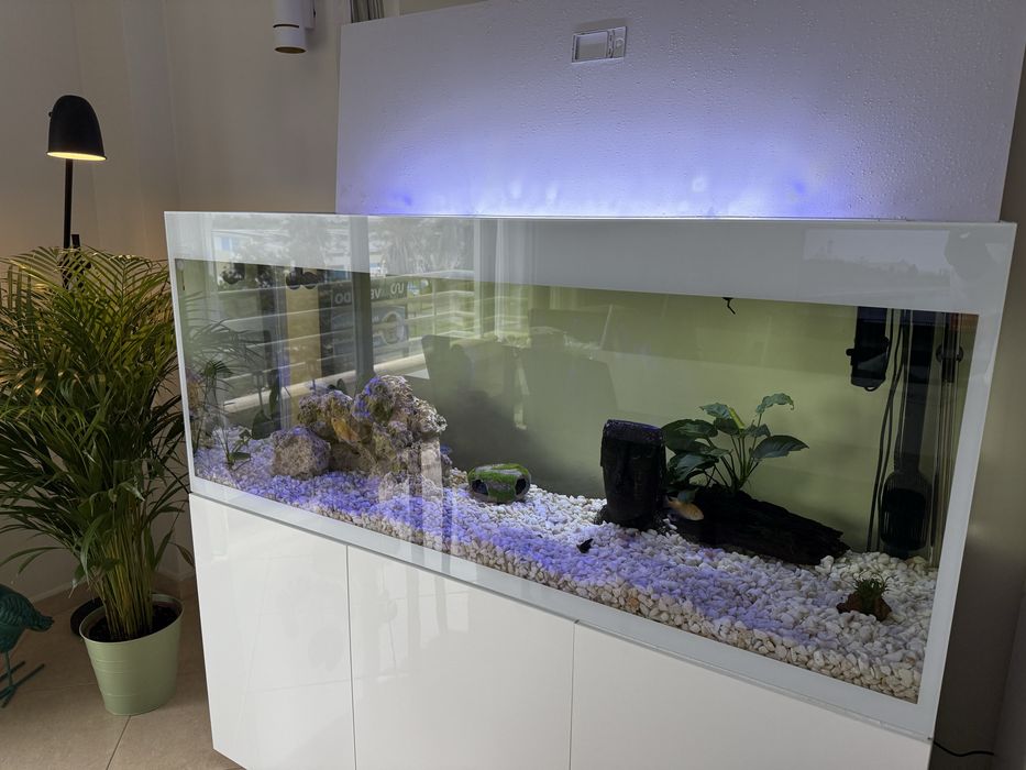 Aquario Aquael Gloss 150