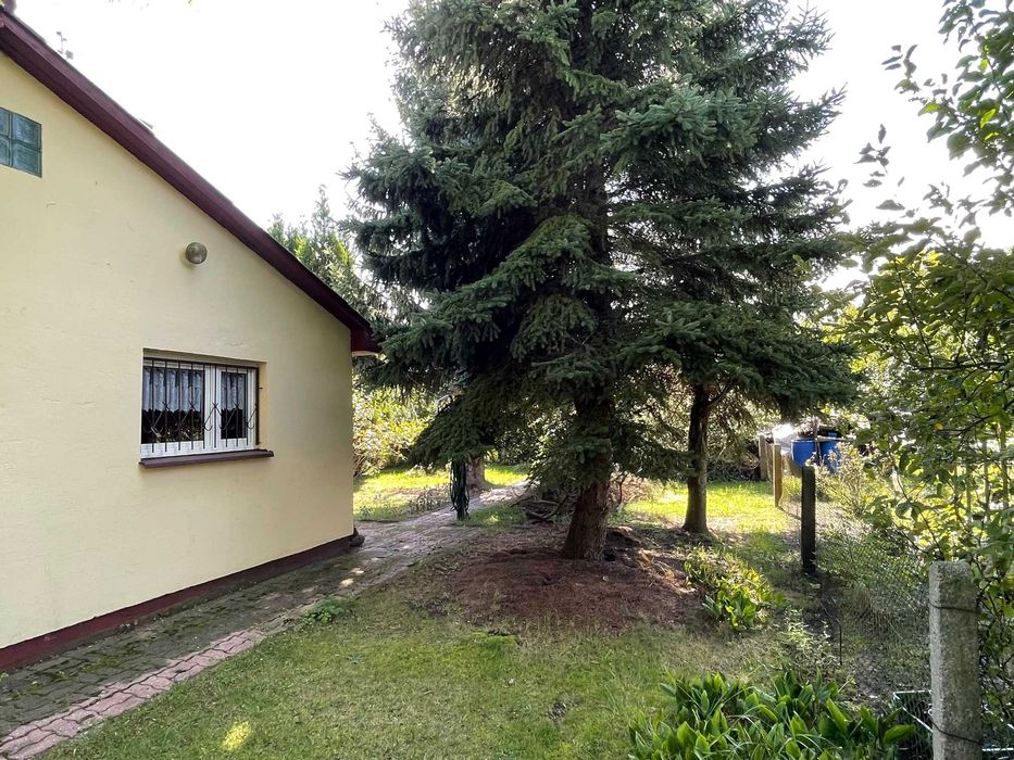 Działka ROD Polmo, Pogodno (woda cały rok) - Widok 2