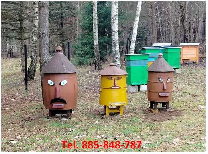 Przezimowane rodziny pszczele na ramce warszawskiej poszerzanej