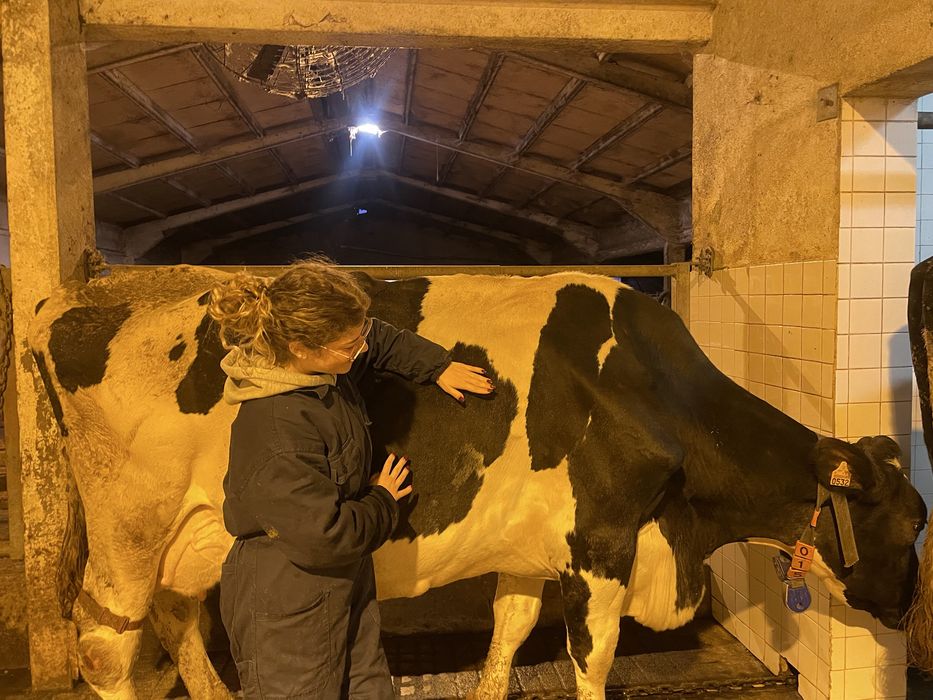 Petsitting Santa Maria da Feira