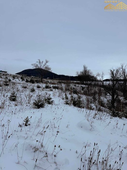 Ільці. 45сотих. Нерухомість. Земля. Карпати. Верховинський район