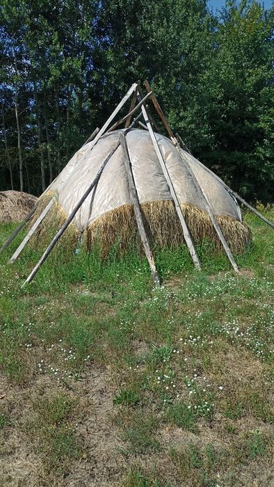 Продам цьорічне сіно