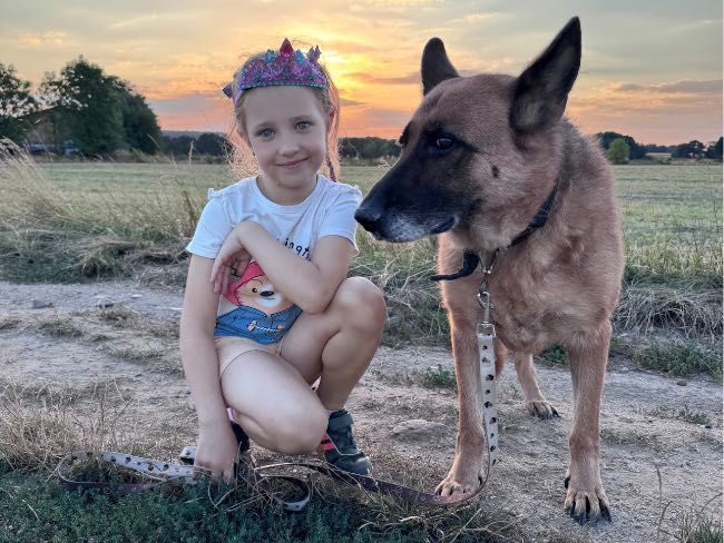 Greta – seniorka owczarka szuka swojego człowieka
