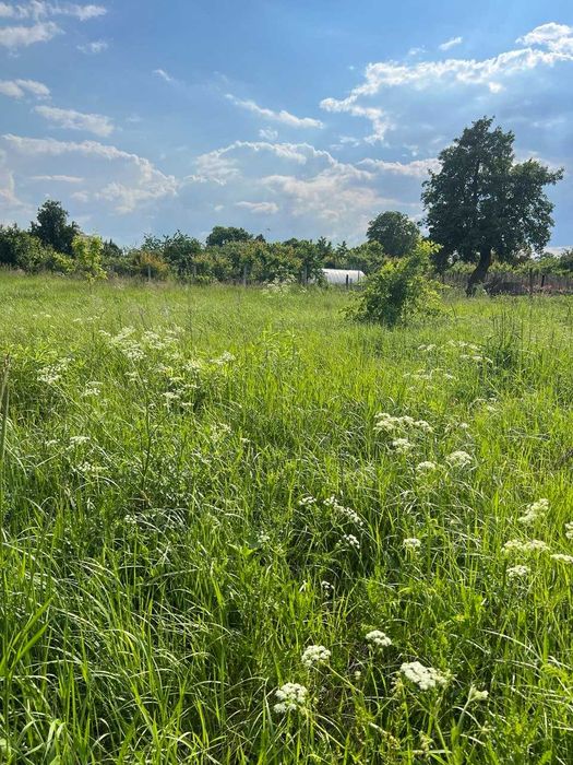 БЕЗ КОМІСІЇ!!!Продаж земельної ділянки під будівництво село Литвинівка