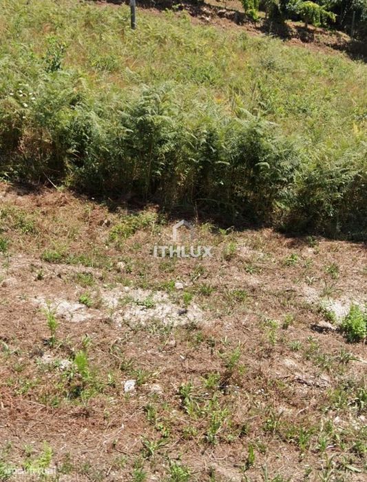 Terreno em Cabeceiras de Basto, Painzela (Baloutas) — Refojos De Basto, Outeiro E Painzela, Braga