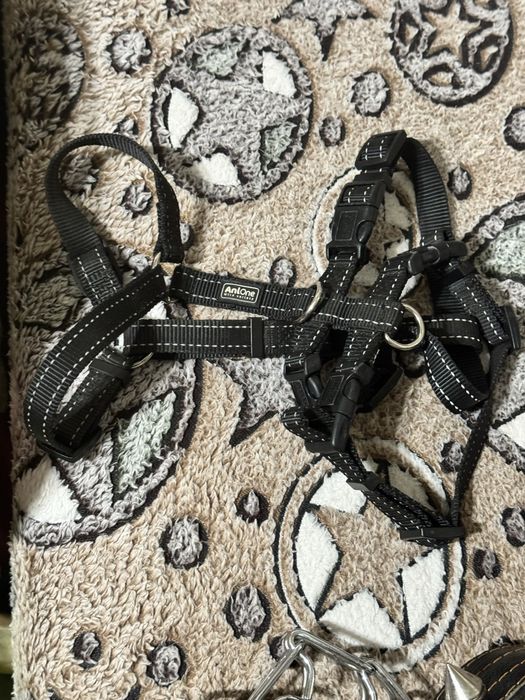 Амуниция для собак