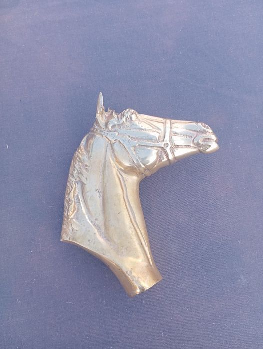 cabeça de cavalo