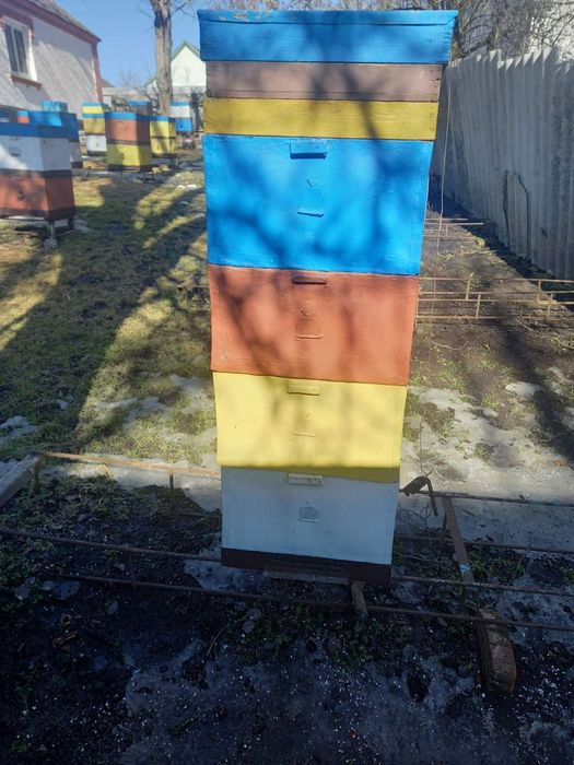 Багатокорпусні вулики