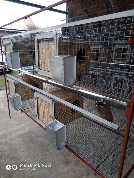 Клітка для кролів, нутрій