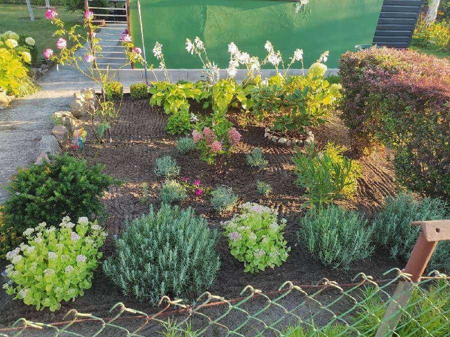 Działka ROD 279m2 Magnolia Grudziądz