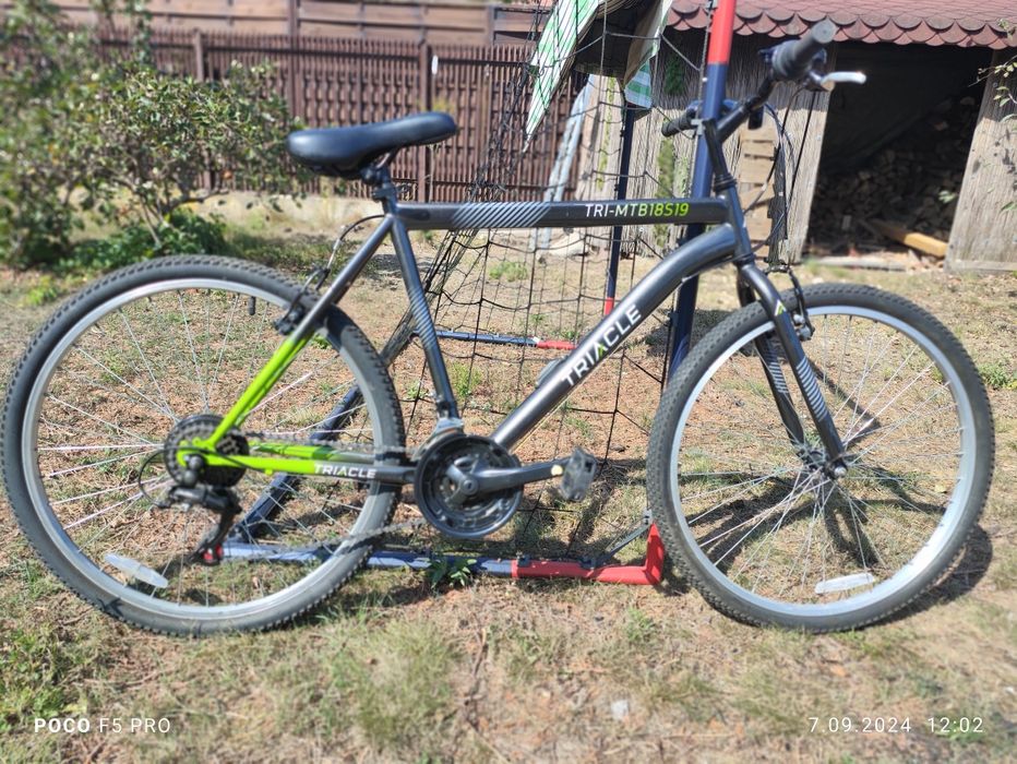 Rower męski Triacle