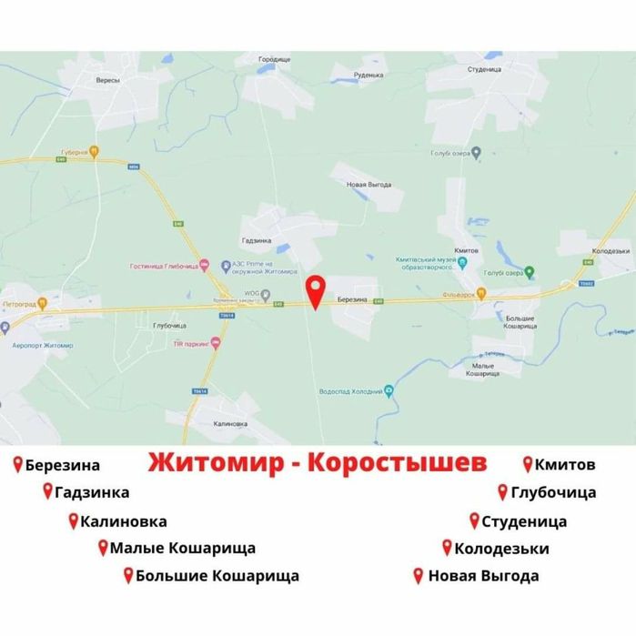 Втік пес • потерялась собака