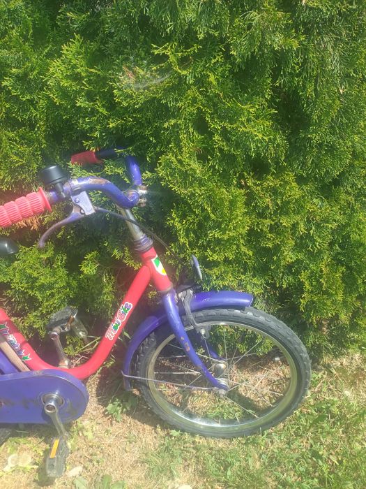 Rower dziecięcy Mini Bike Mücke 20 cali