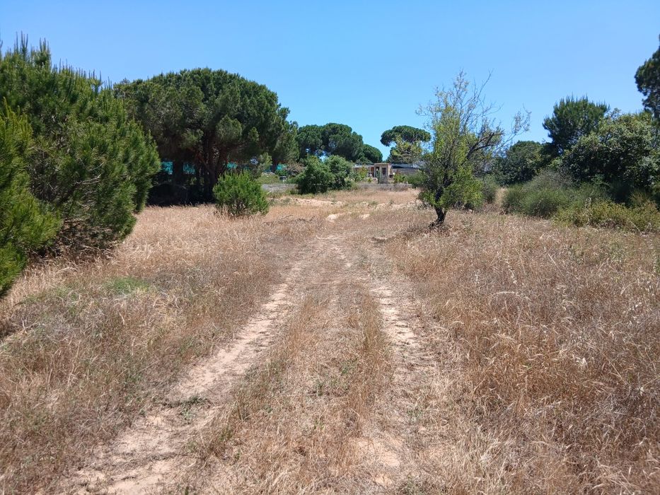 Terreno perto vila sol Quarteira