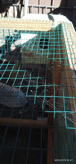 Продам вольер для птиц