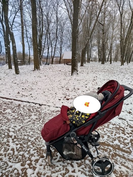 Коляска Elcamino expert прогулянкова