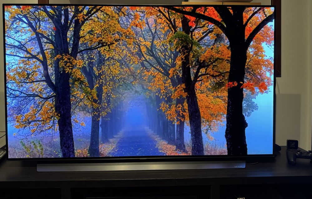 LG OLED55C9 – OLED 55” 4K – Excelente Estado