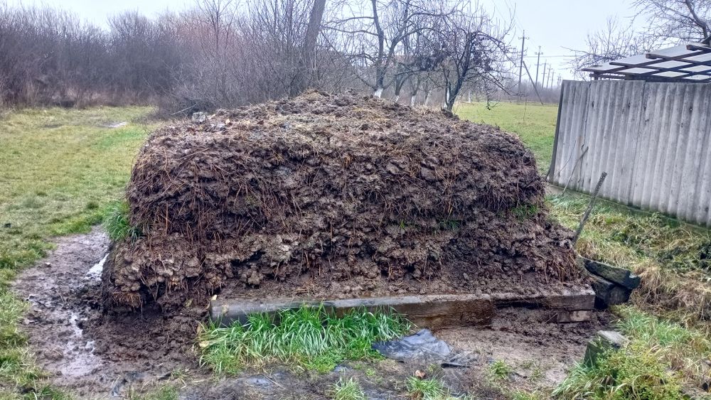 Продам коров'ячий гній