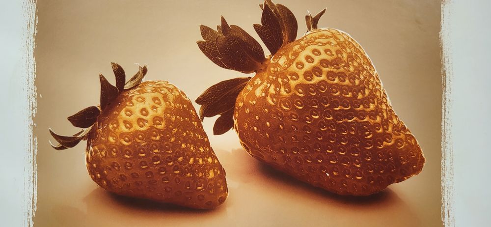 Obraz truskawki 50x40 cm sepia retro pomarańczowy