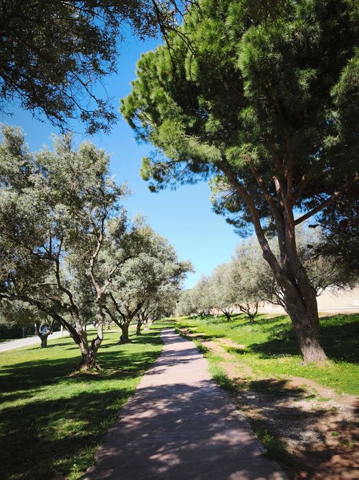 T2 Vilamoura - Excelente. Até 6 pessoas, zona privilegiada, WIFI. Jardim e piscina. Desde 550€/semana