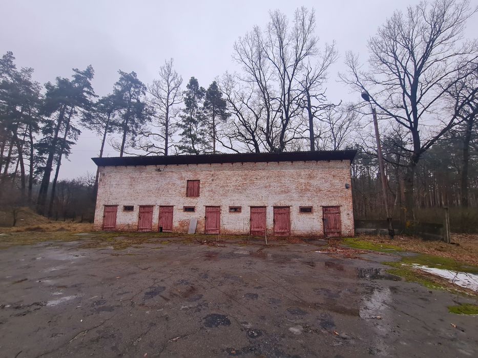 Здам склад в с. Катюжанка від 50 м²