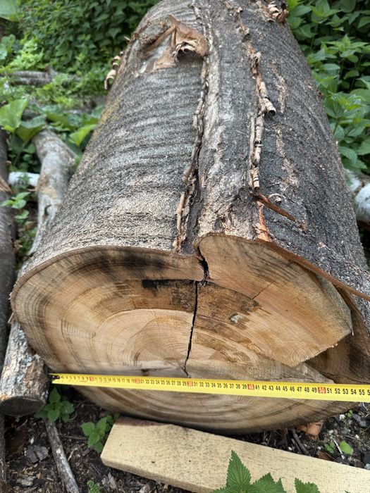 Дрова. Рубані. Черешня та інші породи