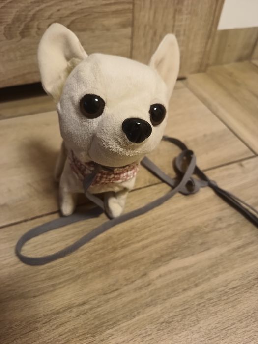 Zabawka piesek rasy chihuahua