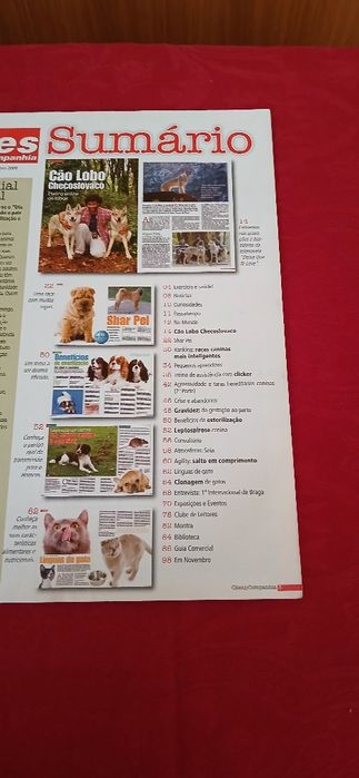 Cães & Companhia de 2009