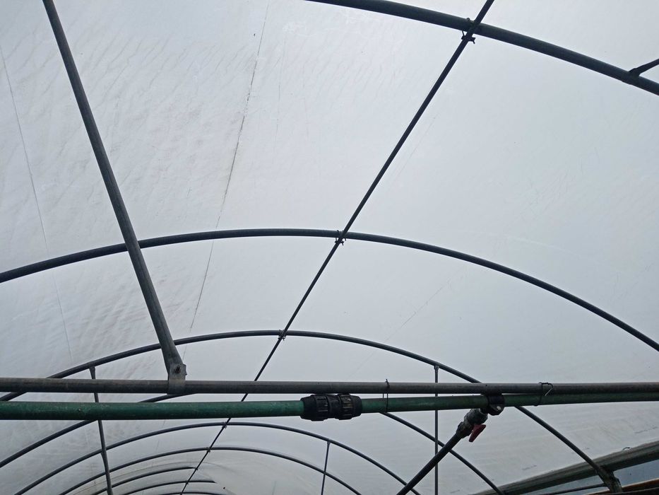 Estufa agrícola usada