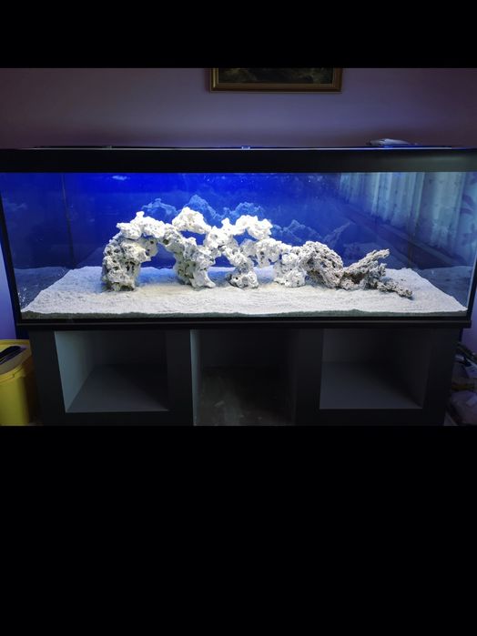 Akwarium  z akcesoriami  1070l, ryby  Frontosa