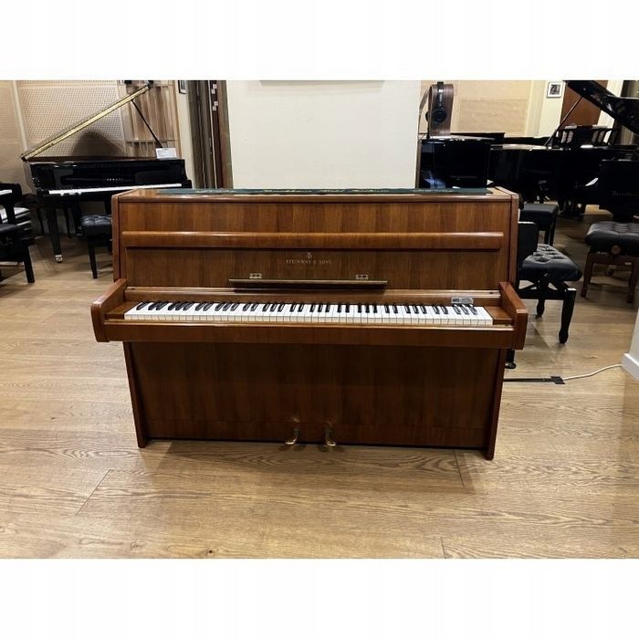 Afinação de Pianos
