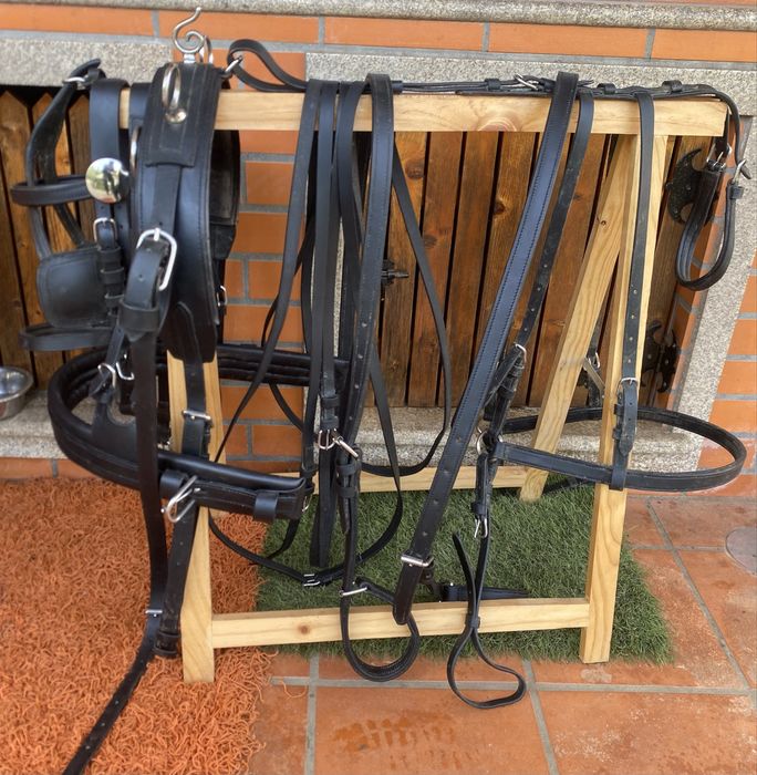 Arreio de engatar ponei