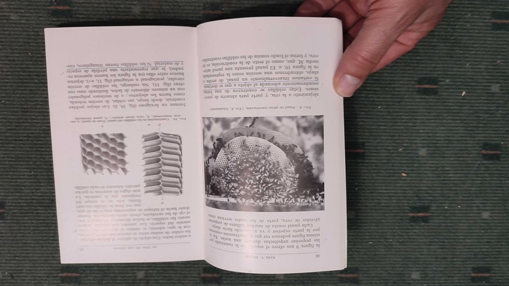 La vida de las abejas - Dr. Karl V. Frisch