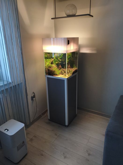 Akwarium Zestaw OptiWhite Szafka Filtr Ryby Rośliny