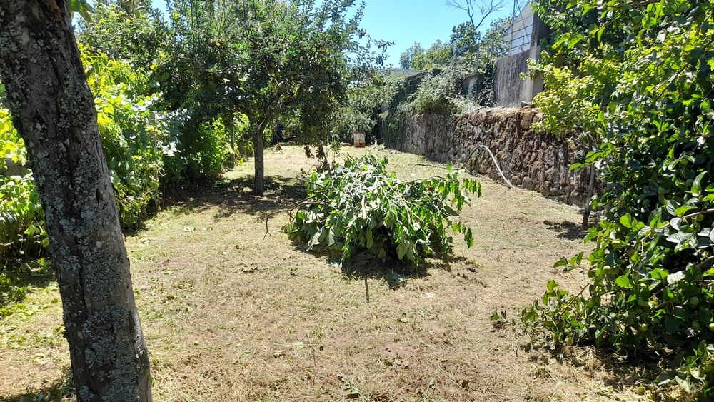 Limpeza de mato junto a edificações.