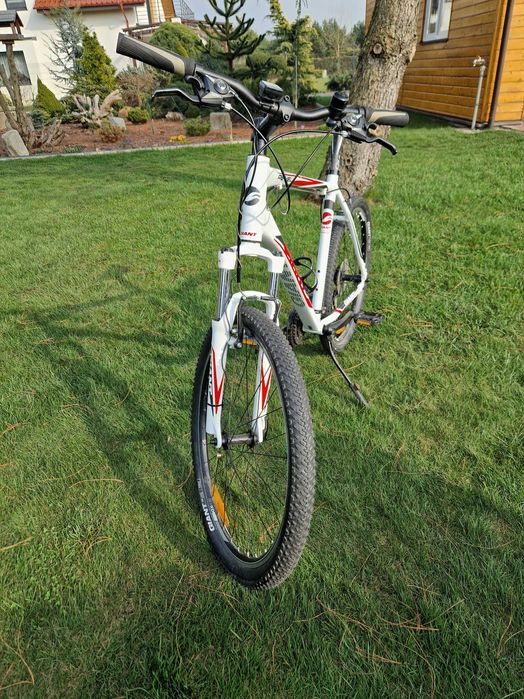 Igła! Giant Revel XL 26” Stan idealny