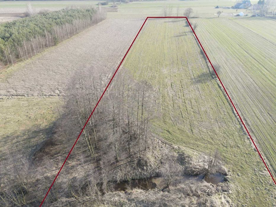 Sprzedam ziemię rolną