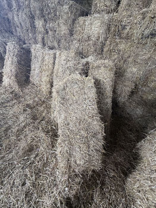 Fardos De Feno  Palha
