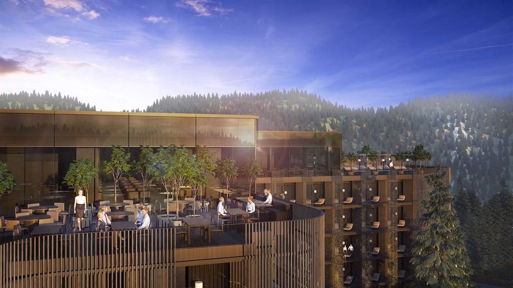 Елітні апарти Буковель Ribas Hotel зданий управління