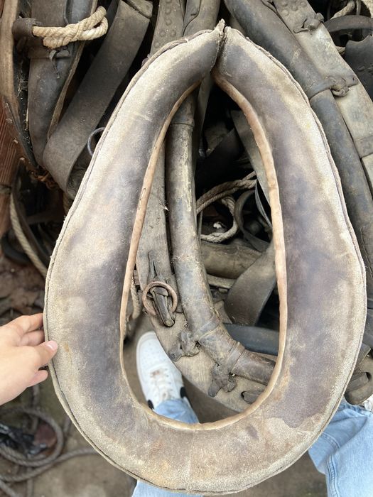 Vendo coleira de egua ta em bom estado sao das boas